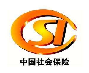 保險(xiǎn)監(jiān)管是什么意思？ 第1張