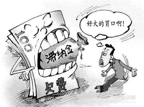 補繳社保滯納金怎么算？ 第1張