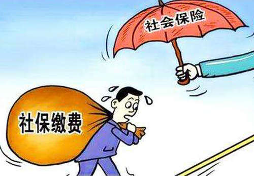 個人交社保怎么交？ 第1張