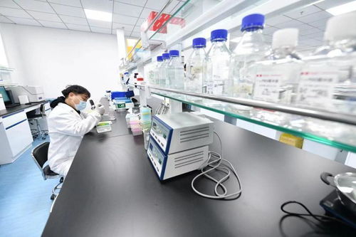 北京亦莊生物醫藥園企業全力以“復”，技術開發驅動產業新活力